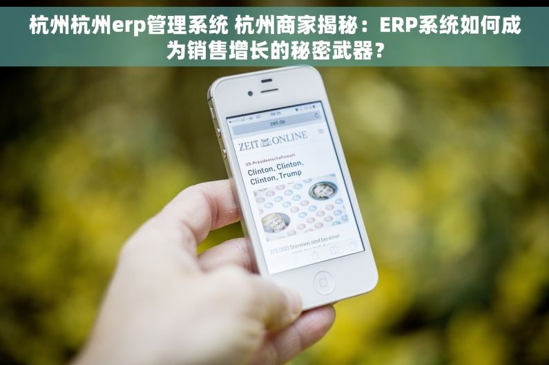 杭州杭州erp管理系统 杭州商家揭秘：ERP系统如何成为销售增长的秘密武器？