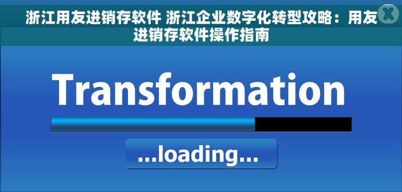 浙江用友进销存软件 浙江企业数字化转型攻略：用友进销存软件操作指南