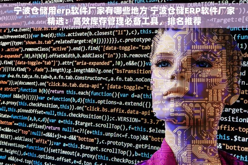 宁波仓储用erp软件厂家有哪些地方 宁波仓储ERP软件厂家精选：高效库存管理必备工具，排名推荐