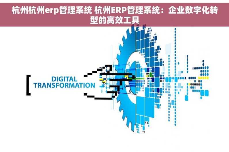 杭州杭州erp管理系统 杭州ERP管理系统：企业数字化转型的高效工具