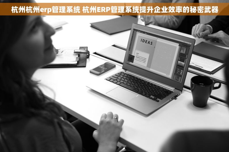 杭州杭州erp管理系统 杭州ERP管理系统提升企业效率的秘密武器