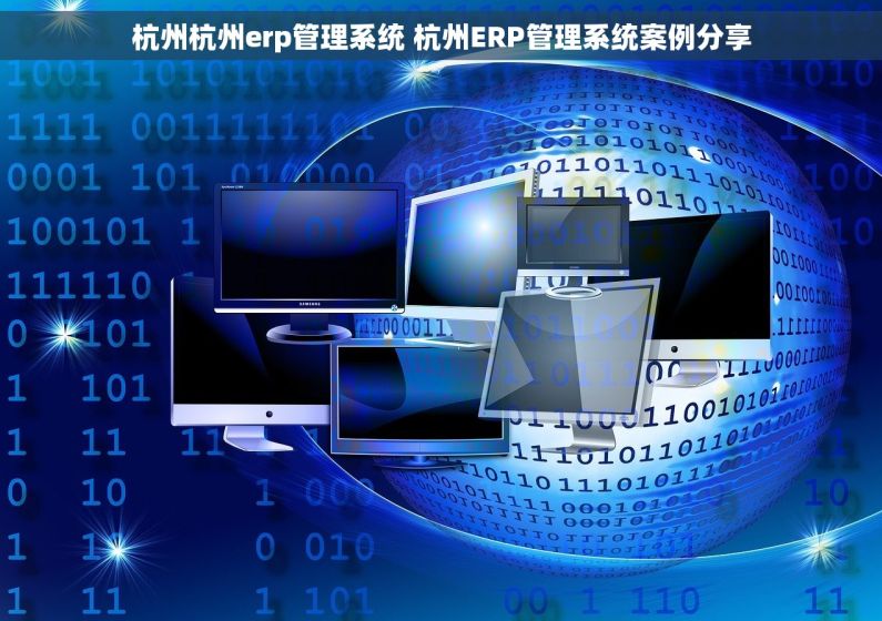 杭州杭州erp管理系统 杭州ERP管理系统案例分享