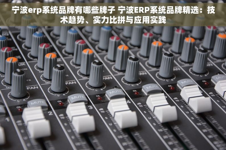 宁波erp系统品牌有哪些牌子 宁波ERP系统品牌精选：技术趋势、实力比拼与应用实践