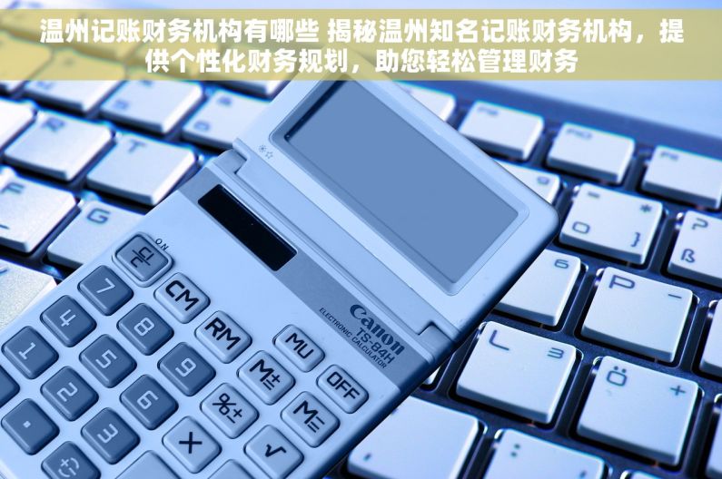 温州记账财务机构有哪些 揭秘温州知名记账财务机构，提供个性化财务规划，助您轻松管理财务