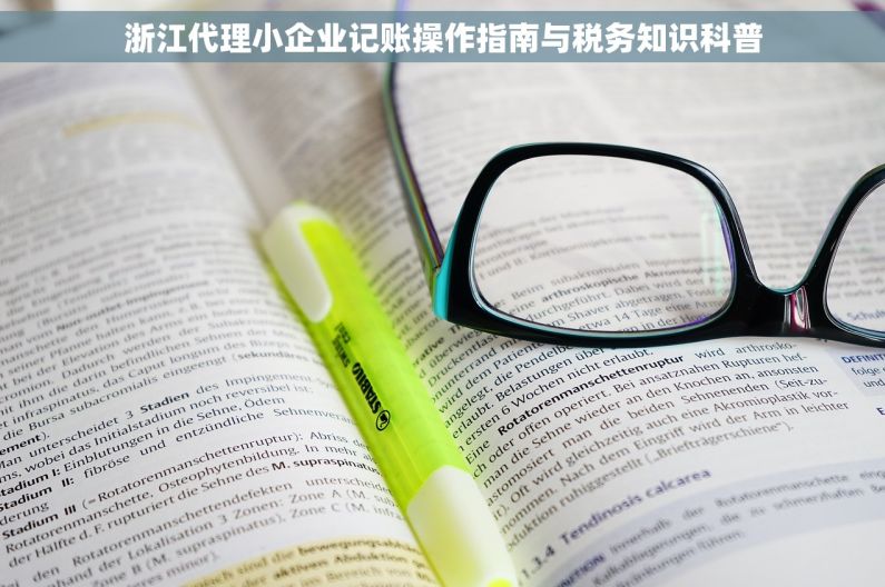 浙江代理小企业记账操作指南与税务知识科普