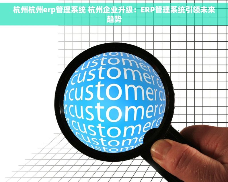 杭州杭州erp管理系统 杭州企业升级：ERP管理系统引领未来趋势