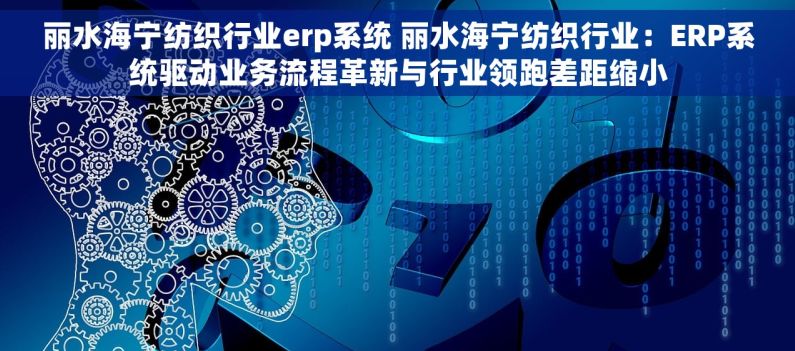丽水海宁纺织行业erp系统 丽水海宁纺织行业：ERP系统驱动业务流程革新与行业领跑差距缩小