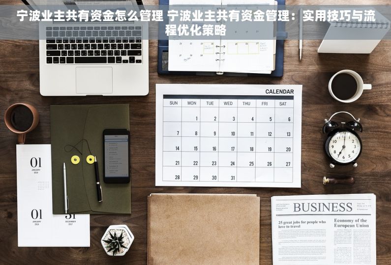 宁波业主共有资金怎么管理 宁波业主共有资金管理：实用技巧与流程优化策略