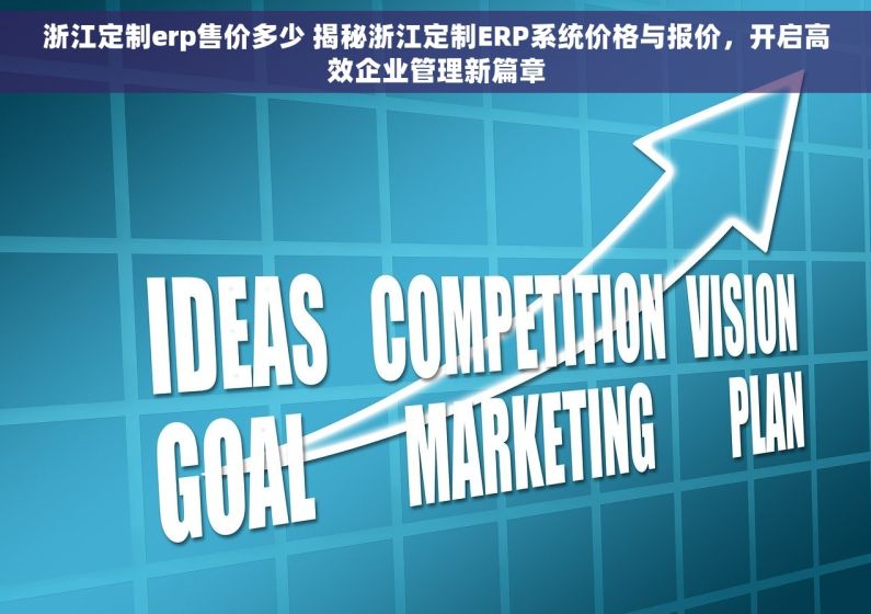 浙江定制erp售价多少 揭秘浙江定制ERP系统价格与报价，开启高效企业管理新篇章