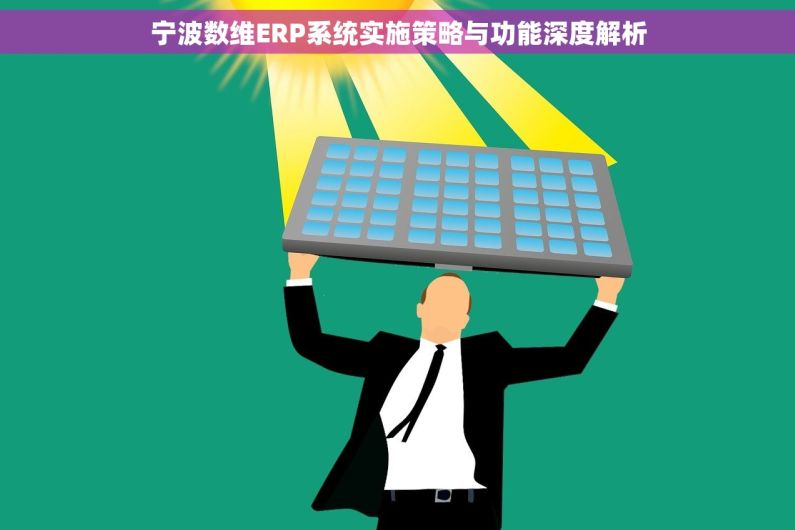 宁波数维ERP系统实施策略与功能深度解析