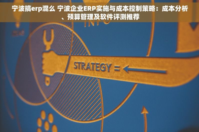 宁波搞erp混么 宁波企业ERP实施与成本控制策略：成本分析、预算管理及软件评测推荐