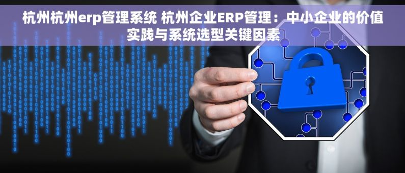 杭州杭州erp管理系统 杭州企业ERP管理：中小企业的价值实践与系统选型关键因素
