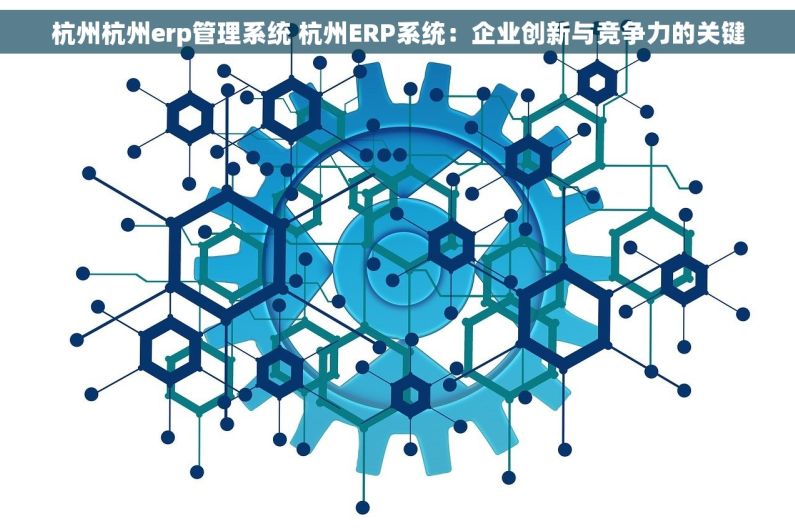 杭州杭州erp管理系统 杭州ERP系统：企业创新与竞争力的关键
