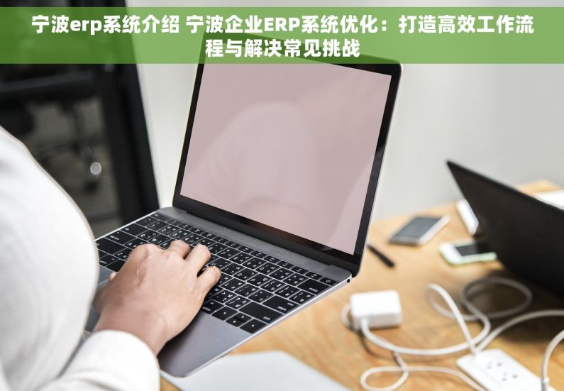 宁波erp系统介绍 宁波企业ERP系统优化：打造高效工作流程与解决常见挑战