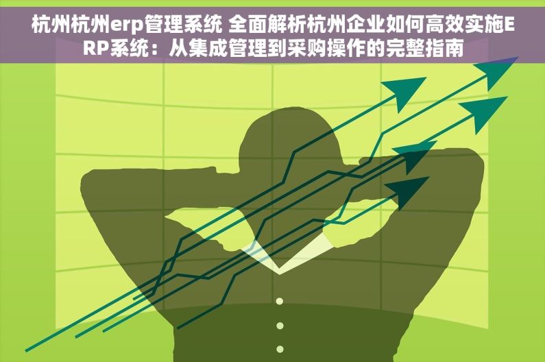 杭州杭州erp管理系统 全面解析杭州企业如何高效实施ERP系统：从集成管理到采购操作的完整指南