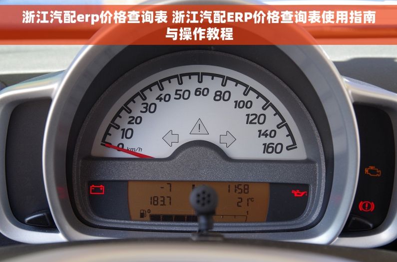 浙江汽配erp价格查询表 浙江汽配ERP价格查询表使用指南与操作教程