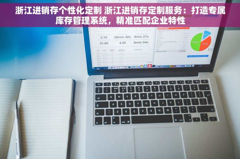 浙江进销存个性化定制 浙江进销存定制服务：打造专属库存管理系统，精准匹配企业特性
