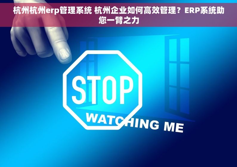 杭州杭州erp管理系统 杭州企业如何高效管理？ERP系统助您一臂之力