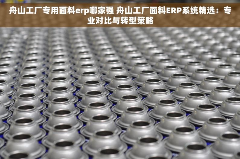 舟山工厂专用面料erp哪家强 舟山工厂面料ERP系统精选：专业对比与转型策略