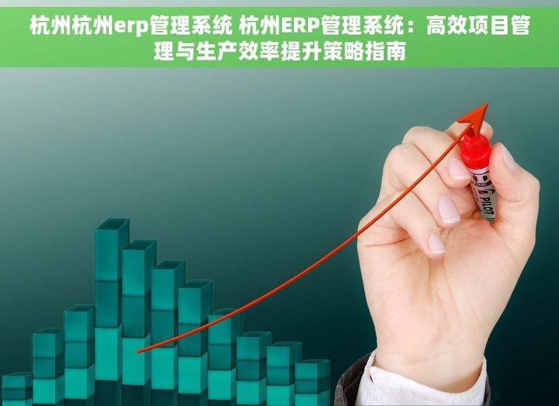 杭州杭州erp管理系统 杭州ERP管理系统：高效项目管理与生产效率提升策略指南