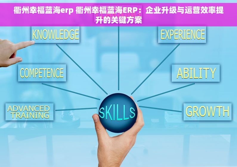 衢州幸福蓝海erp 衢州幸福蓝海ERP：企业升级与运营效率提升的关键方案