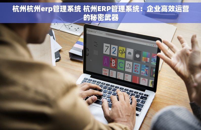杭州杭州erp管理系统 杭州ERP管理系统：企业高效运营的秘密武器