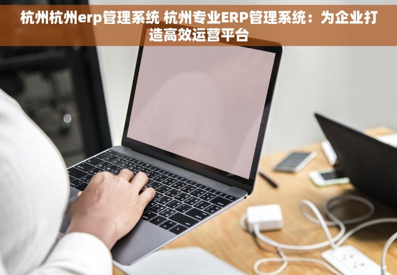 杭州杭州erp管理系统 杭州专业ERP管理系统：为企业打造高效运营平台