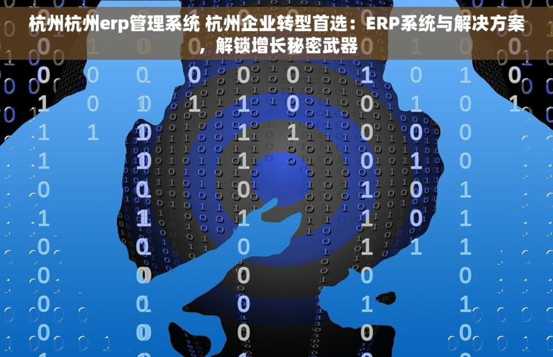 杭州杭州erp管理系统 杭州企业转型首选：ERP系统与解决方案，解锁增长秘密武器