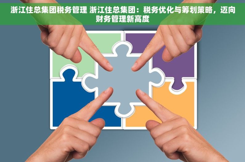 浙江住总集团税务管理 浙江住总集团：税务优化与筹划策略，迈向财务管理新高度