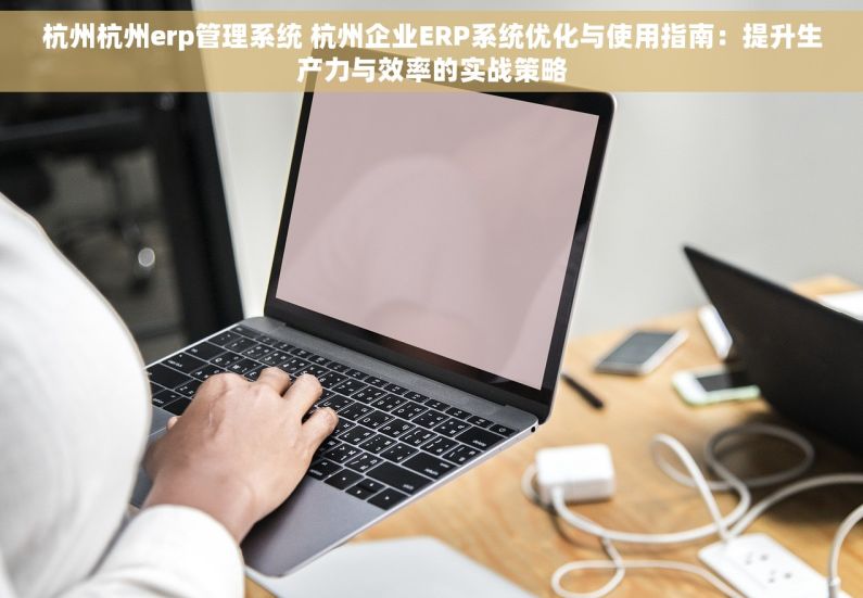 杭州杭州erp管理系统 杭州企业ERP系统优化与使用指南：提升生产力与效率的实战策略