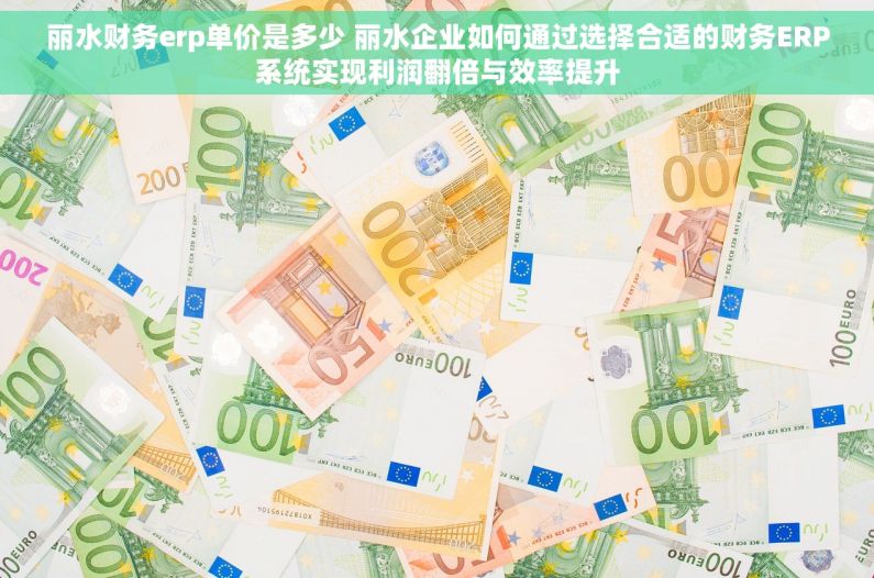 丽水财务erp单价是多少 丽水企业如何通过选择合适的财务ERP系统实现利润翻倍与效率提升