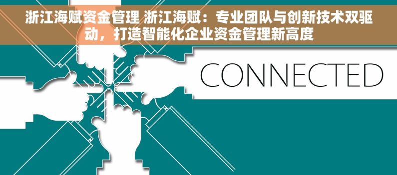 浙江海赋资金管理 浙江海赋：专业团队与创新技术双驱动，打造智能化企业资金管理新高度