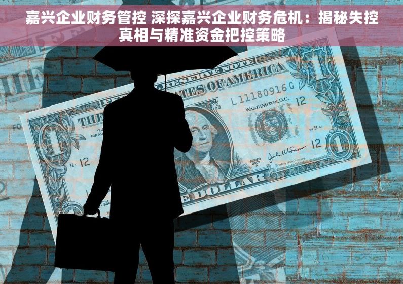 嘉兴企业财务管控 深探嘉兴企业财务危机：揭秘失控真相与精准资金把控策略