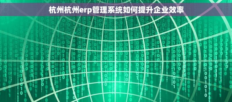 杭州杭州erp管理系统如何提升企业效率