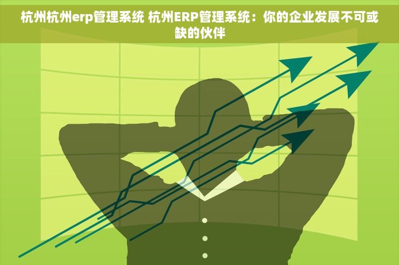 杭州杭州erp管理系统 杭州ERP管理系统：你的企业发展不可或缺的伙伴