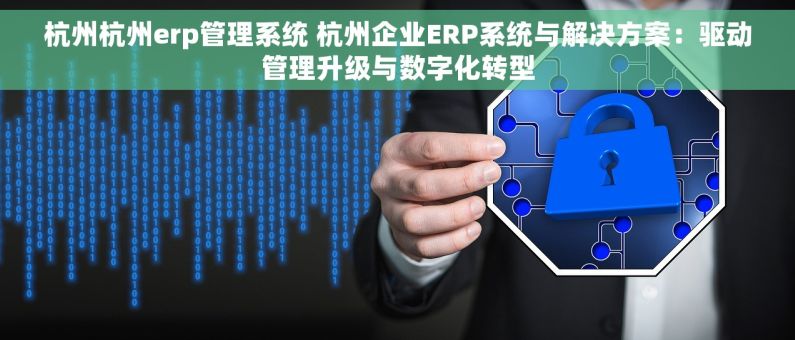 杭州杭州erp管理系统 杭州企业ERP系统与解决方案：驱动管理升级与数字化转型