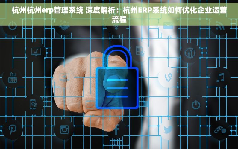 杭州杭州erp管理系统 深度解析：杭州ERP系统如何优化企业运营流程