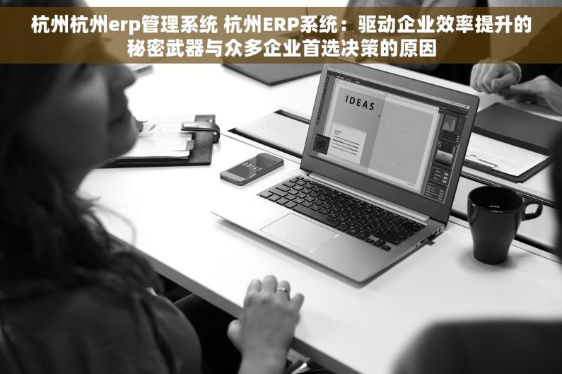 杭州杭州erp管理系统 杭州ERP系统：驱动企业效率提升的秘密武器与众多企业首选决策的原因