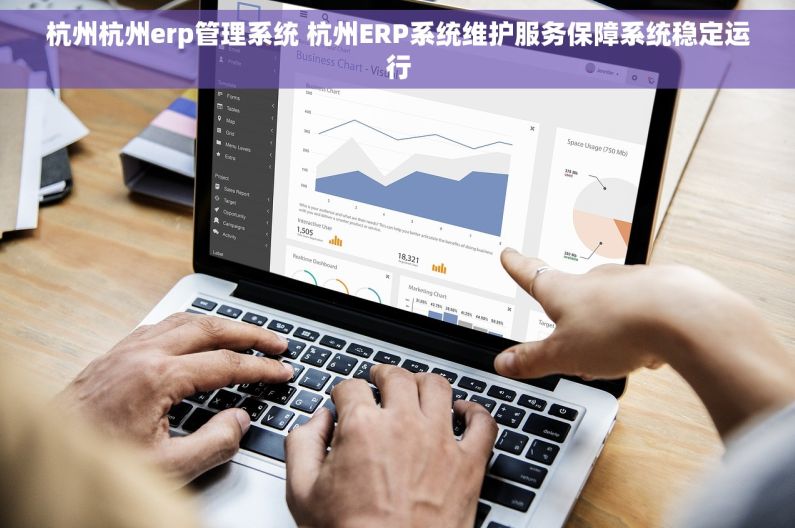 杭州杭州erp管理系统 杭州ERP系统维护服务保障系统稳定运行