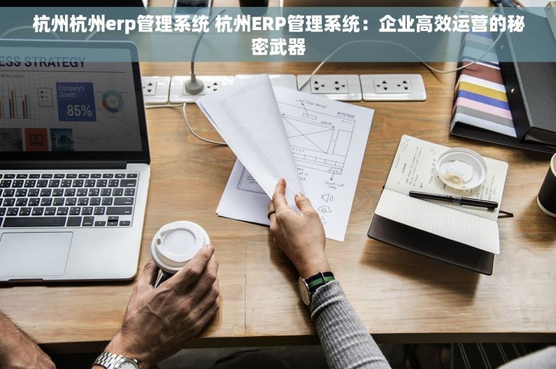 杭州杭州erp管理系统 杭州ERP管理系统：企业高效运营的秘密武器