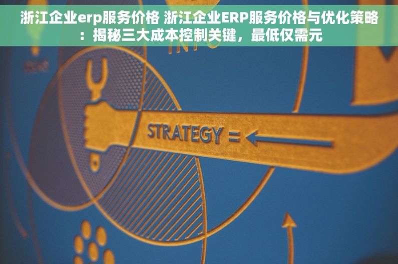 浙江企业erp服务价格 浙江企业ERP服务价格与优化策略：揭秘三大成本控制关键，最低仅需元