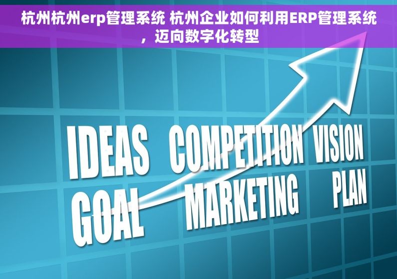 杭州杭州erp管理系统 杭州企业如何利用ERP管理系统，迈向数字化转型