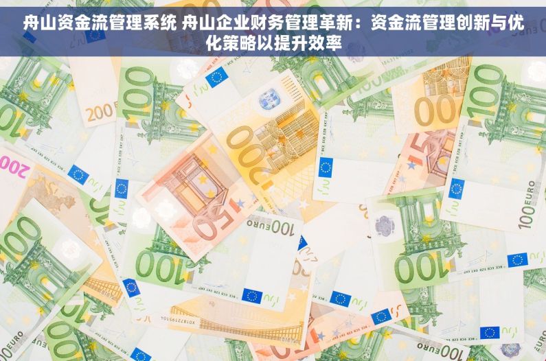 舟山资金流管理系统 舟山企业财务管理革新：资金流管理创新与优化策略以提升效率