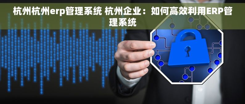 杭州杭州erp管理系统 杭州企业：如何高效利用ERP管理系统