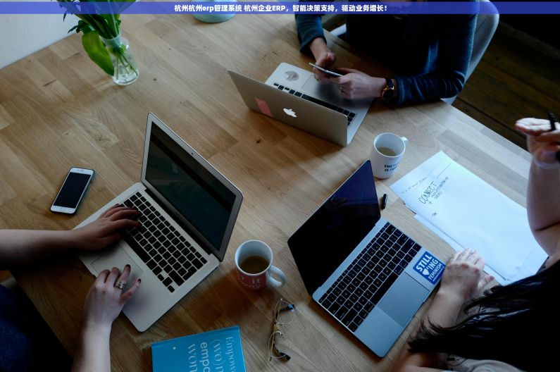 杭州杭州erp管理系统 杭州企业ERP，智能决策支持，驱动业务增长！