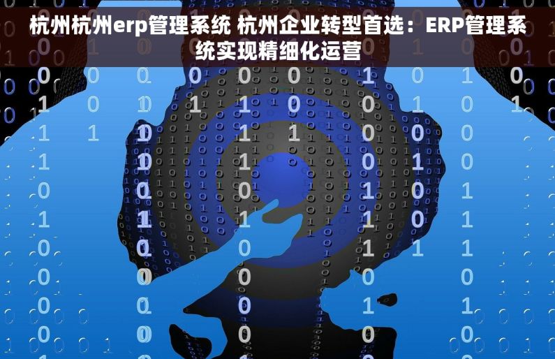 杭州杭州erp管理系统 杭州企业转型首选：ERP管理系统实现精细化运营