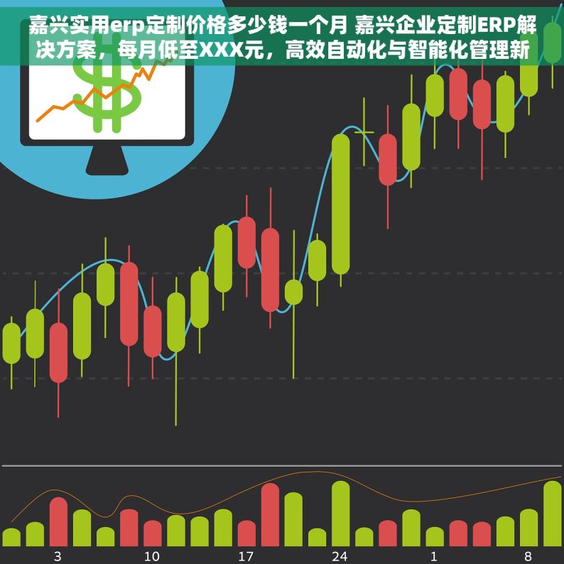嘉兴实用erp定制价格多少钱一个月 嘉兴企业定制ERP解决方案，每月低至XXX元，高效自动化与智能化管理新纪元