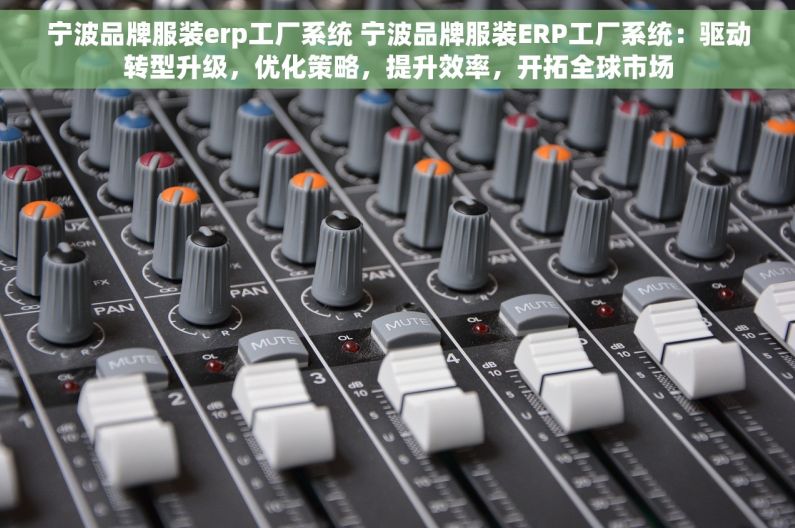 宁波品牌服装erp工厂系统 宁波品牌服装ERP工厂系统：驱动转型升级，优化策略，提升效率，开拓全球市场