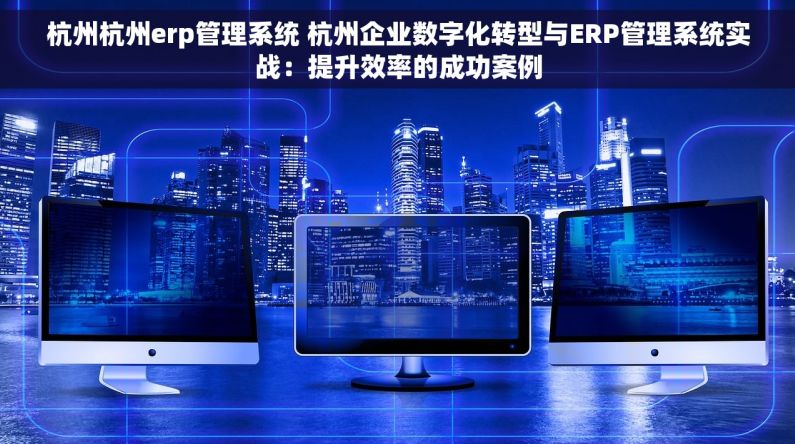 杭州杭州erp管理系统 杭州企业数字化转型与ERP管理系统实战：提升效率的成功案例