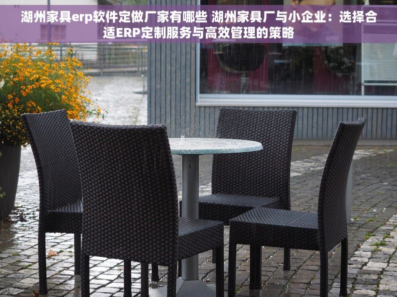 湖州家具erp软件定做厂家有哪些 湖州家具厂与小企业：选择合适ERP定制服务与高效管理的策略